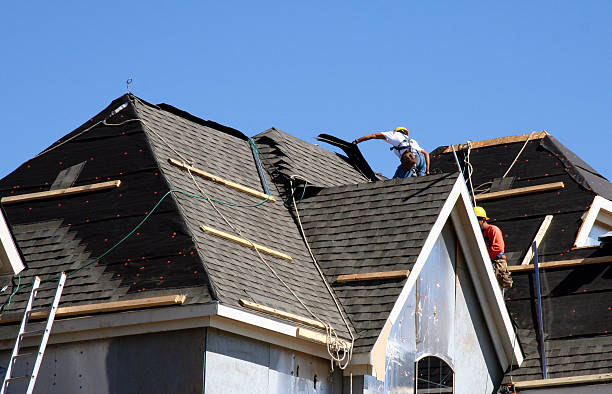 Best Roof Repair Services  in Clarence, IA