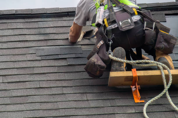 Quick and Trustworthy Emergency Roof Repair Services in Clarence, IA