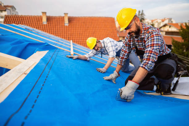 Best Roof Leak Repair  in Clarence, IA