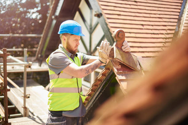 Best Storm Damage Roof Repair  in Clarence, IA