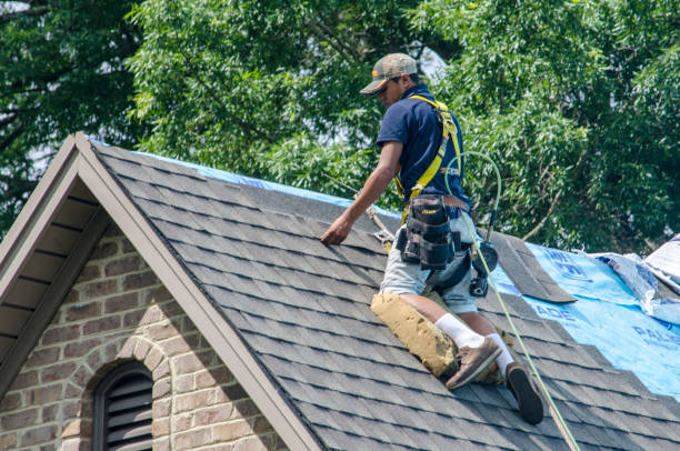 Roof Waterproofing Services in Clarence, IA